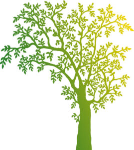 Baum im Logo der Psychotherapiepraxis für Kinder und Jugendliche Spremberg